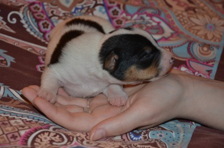 EZIO: Hab ich mich auch schon in DEIN Herz geschlichen?!